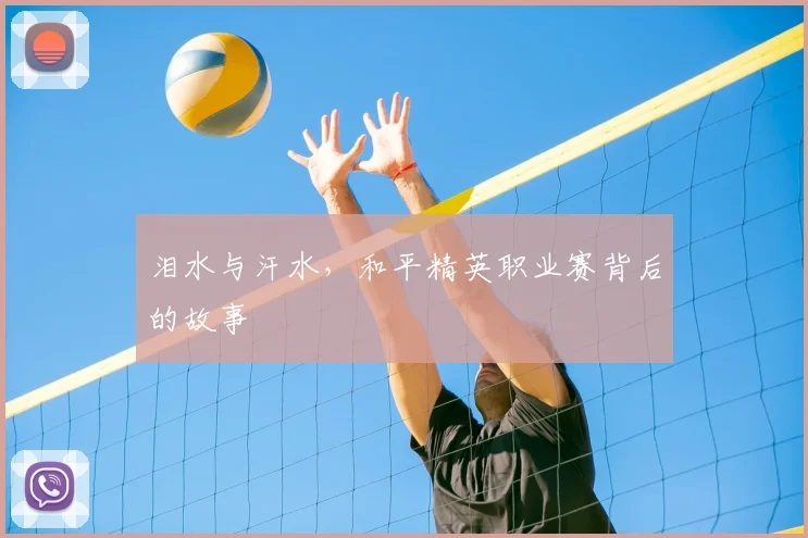 泪水与汗水，和平精英职业赛背后的故事